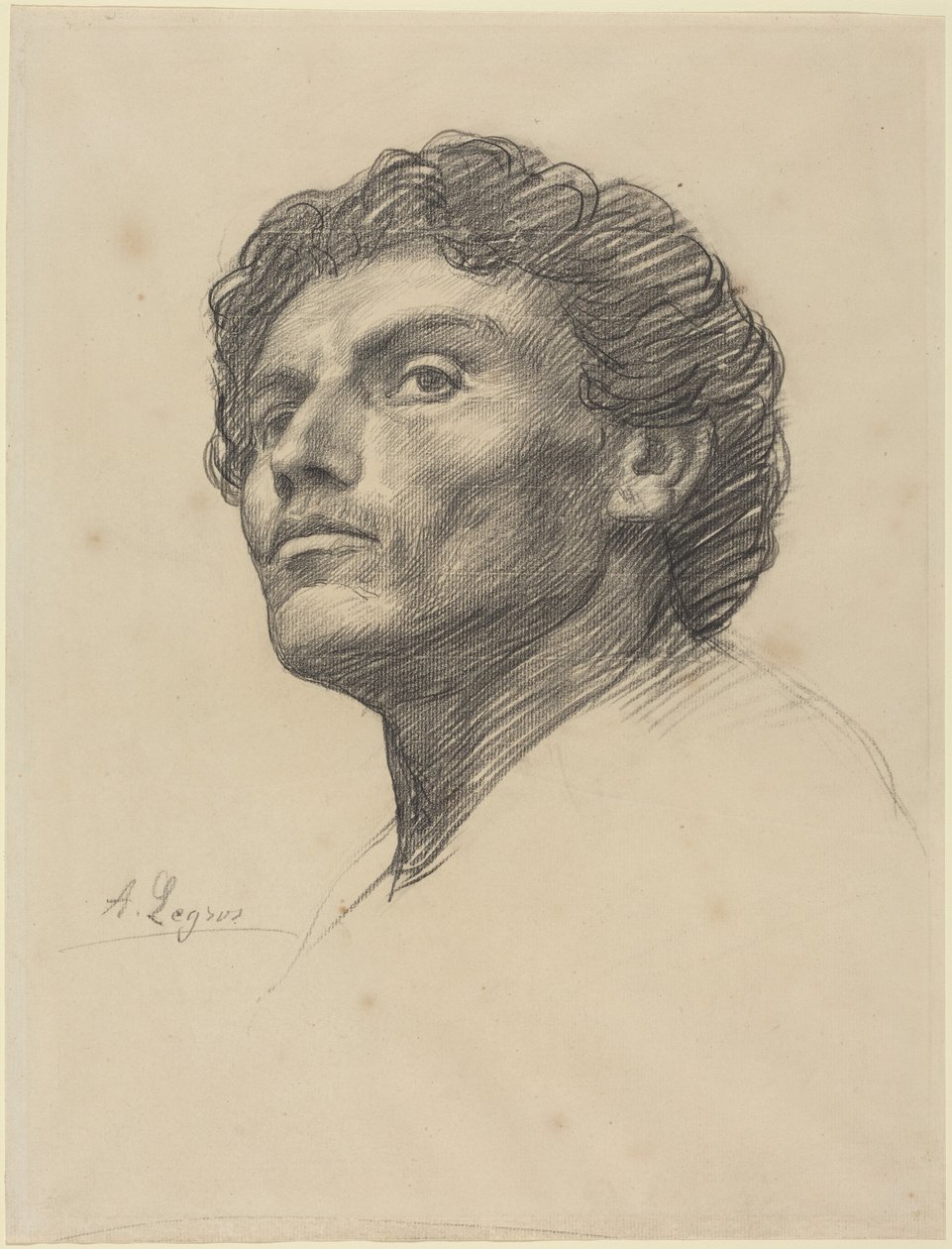 Testa di uomo da Alphonse Legros