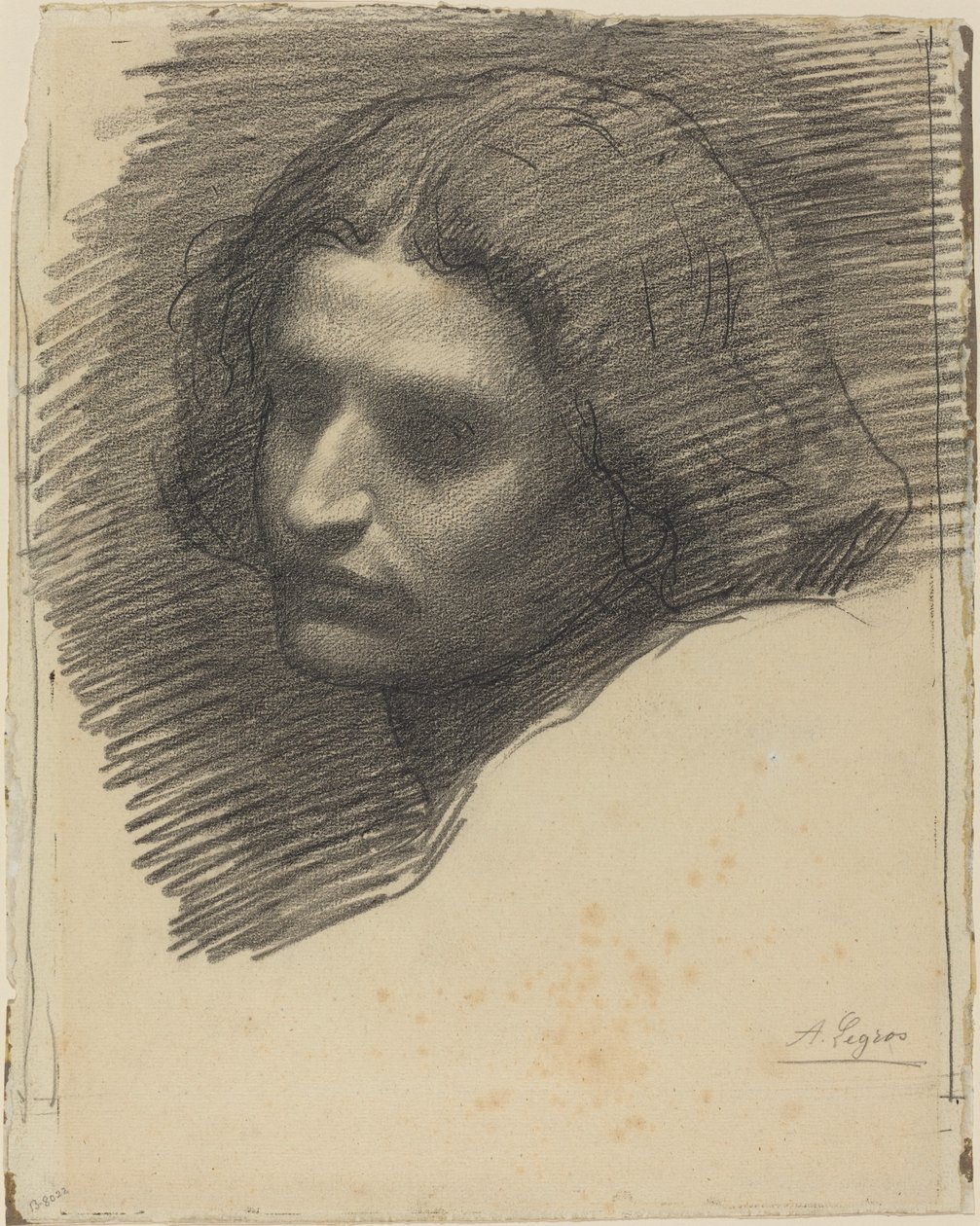 Testa di un Uomo Rivolta a Sinistra [recto] da Alphonse Legros