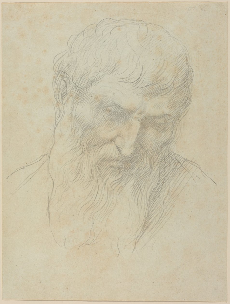 Testa di uomo dai capelli ricci e con barba da Alphonse Legros
