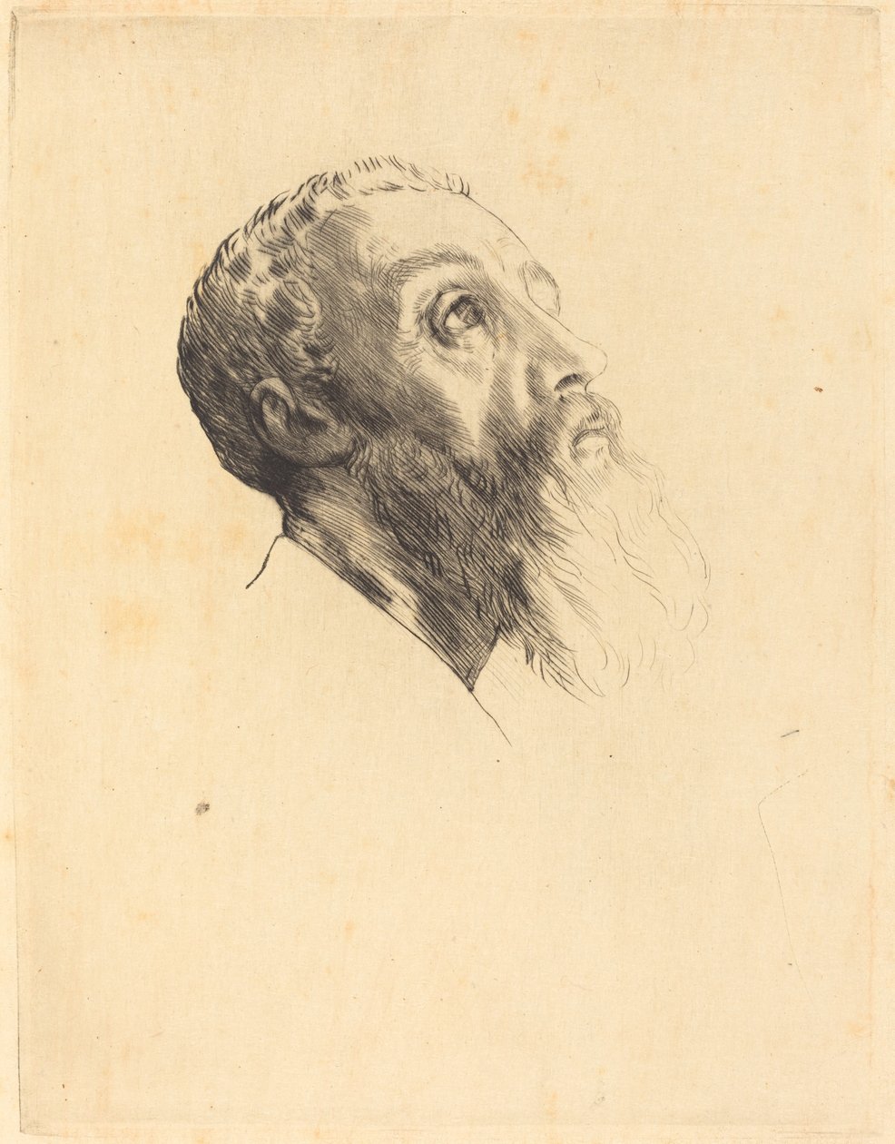 Testa di un modello Tête de modèle da Alphonse Legros
