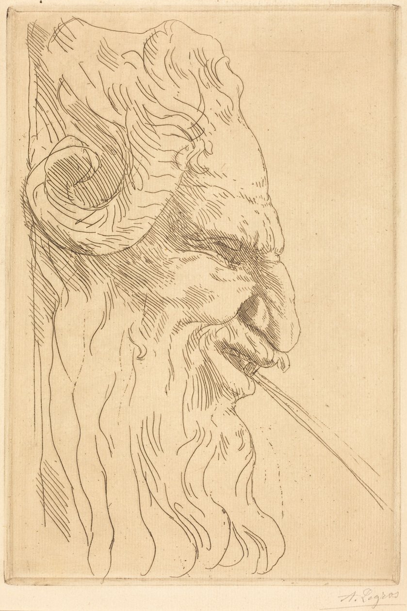 Testa di satiro da Alphonse Legros