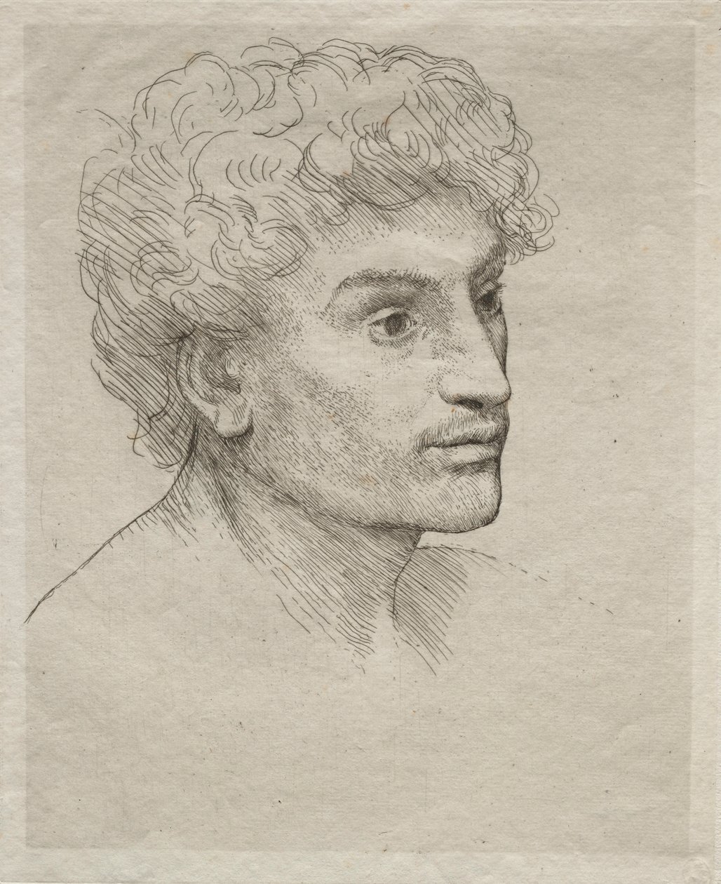 Testa di un giovane uomo da Alphonse Legros