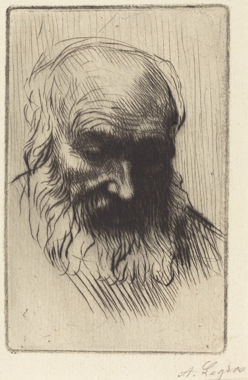 Testa di un anziano (Étude de tête) da Alphonse Legros