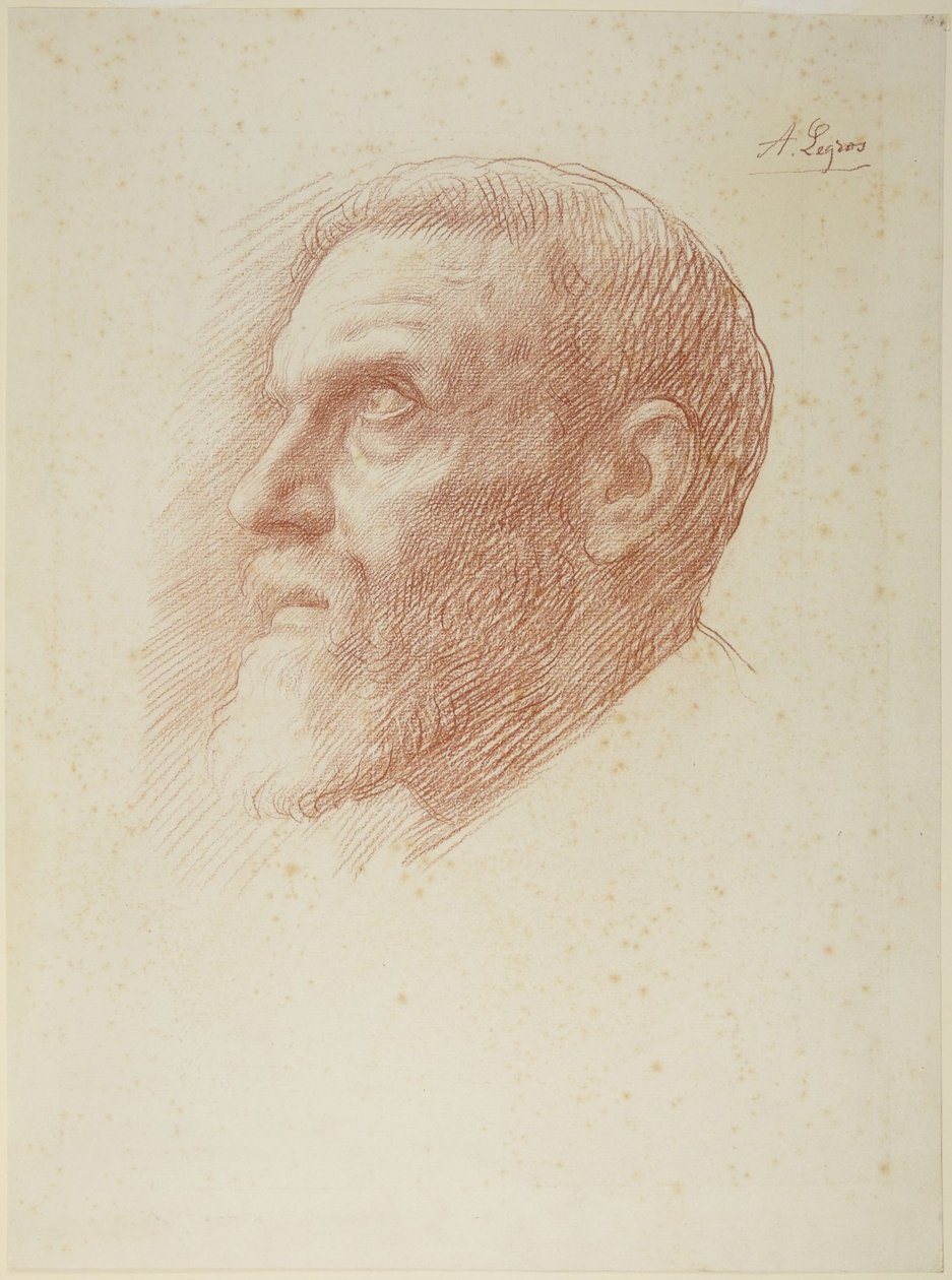 Testa dell