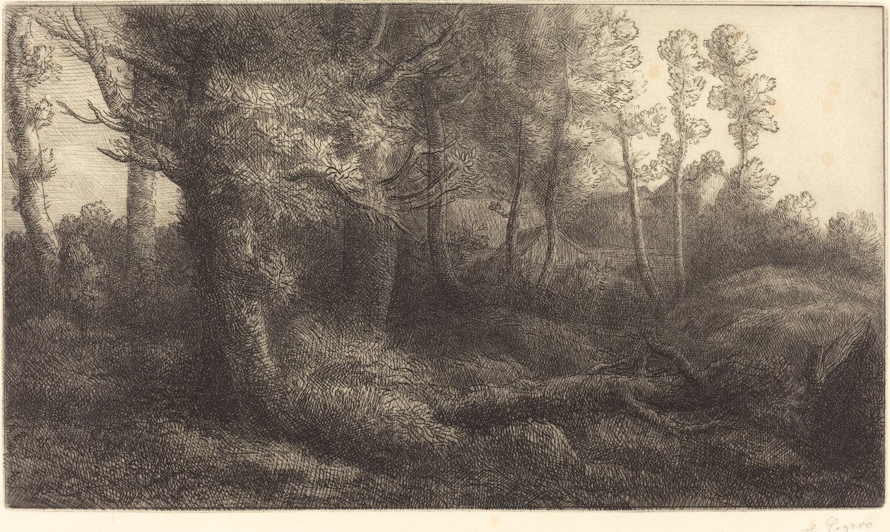 Nella foresta da Alphonse Legros
