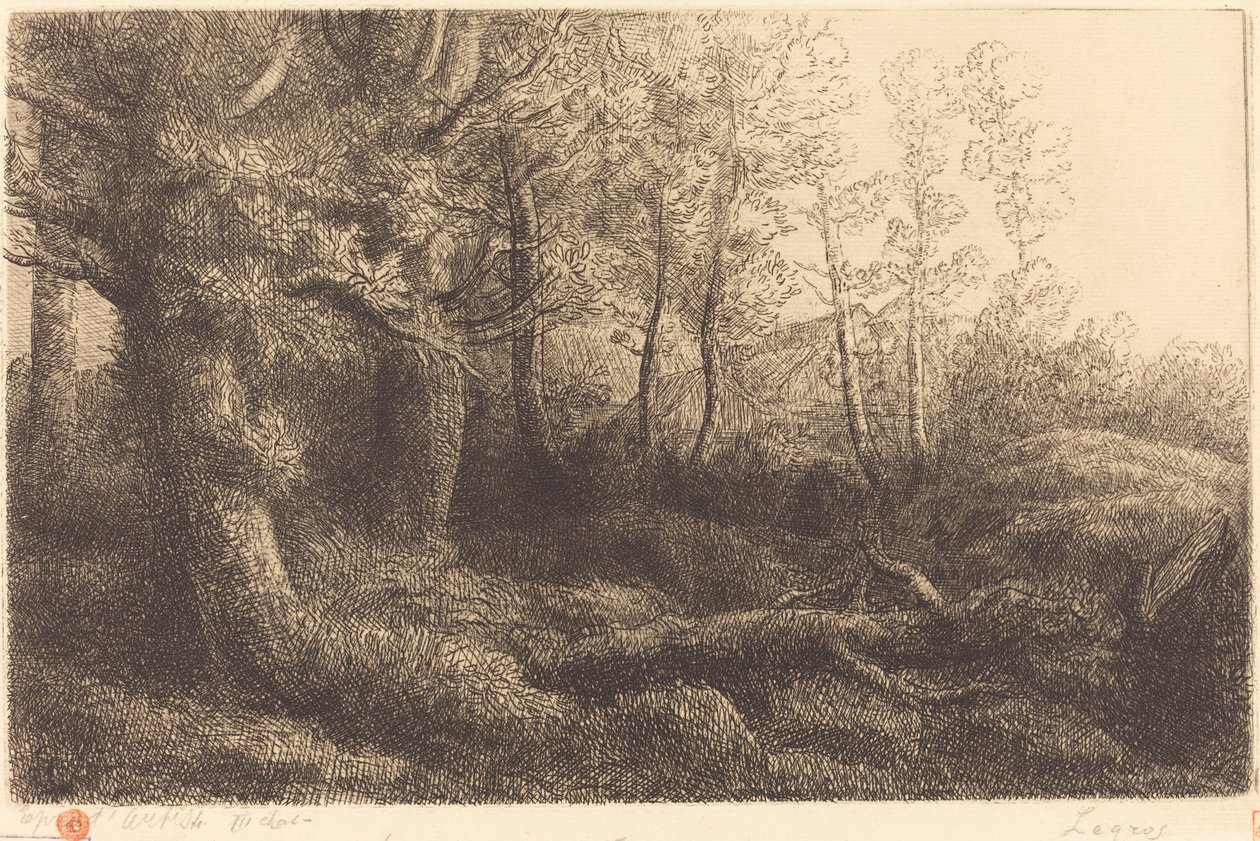 Nella foresta (Lisiere de foret) da Alphonse Legros