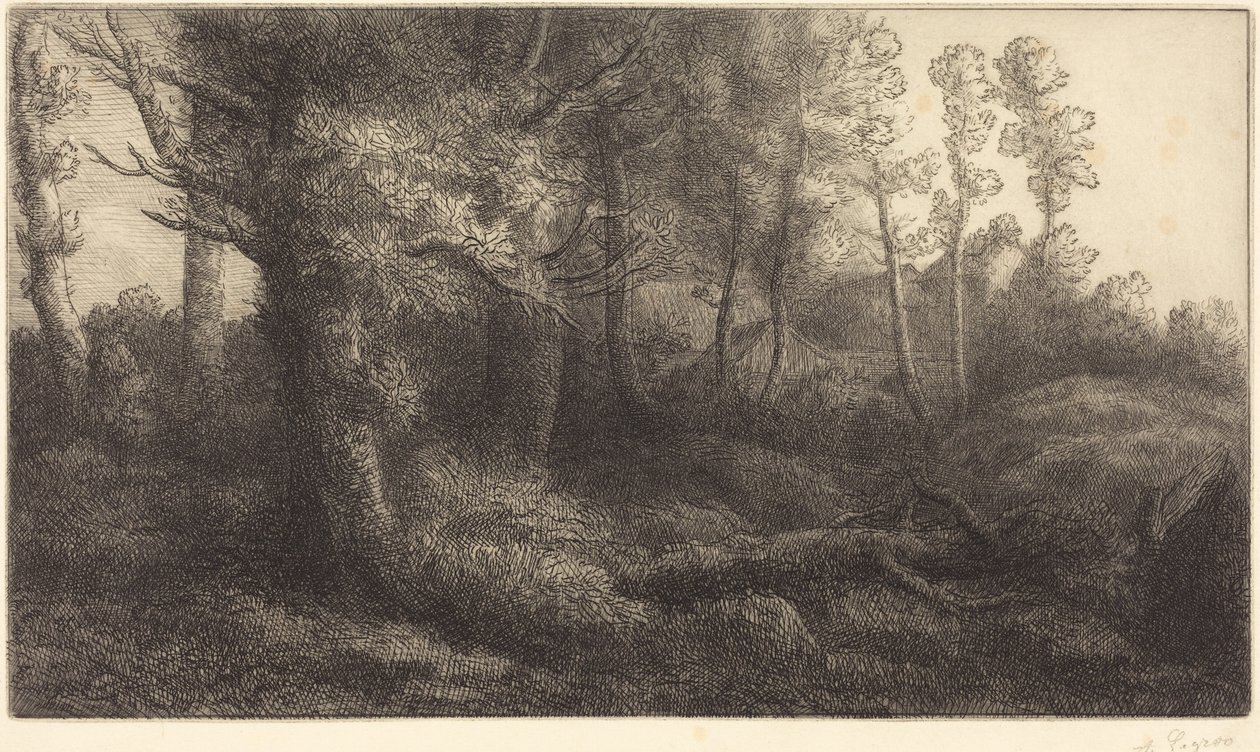 Nella foresta (Lisière de forêt) da Alphonse Legros