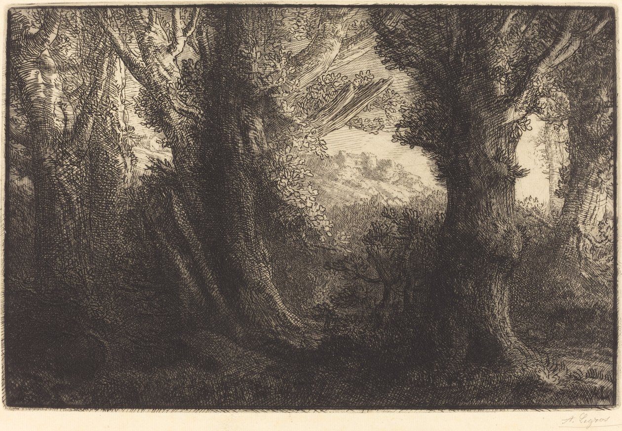 Dans la forêt de Conteville da Alphonse Legros