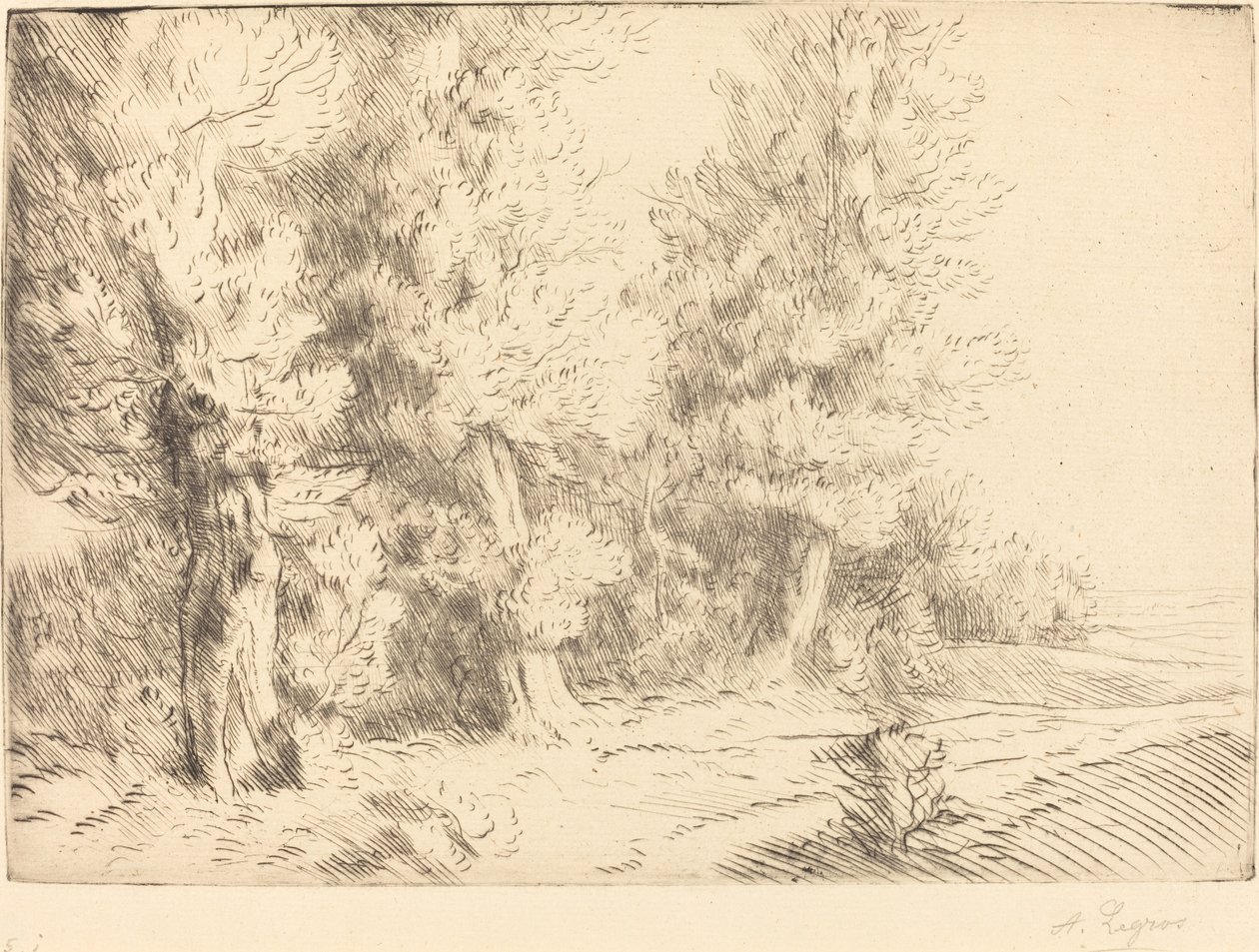Nella foresta di Fontainebleau da Alphonse Legros