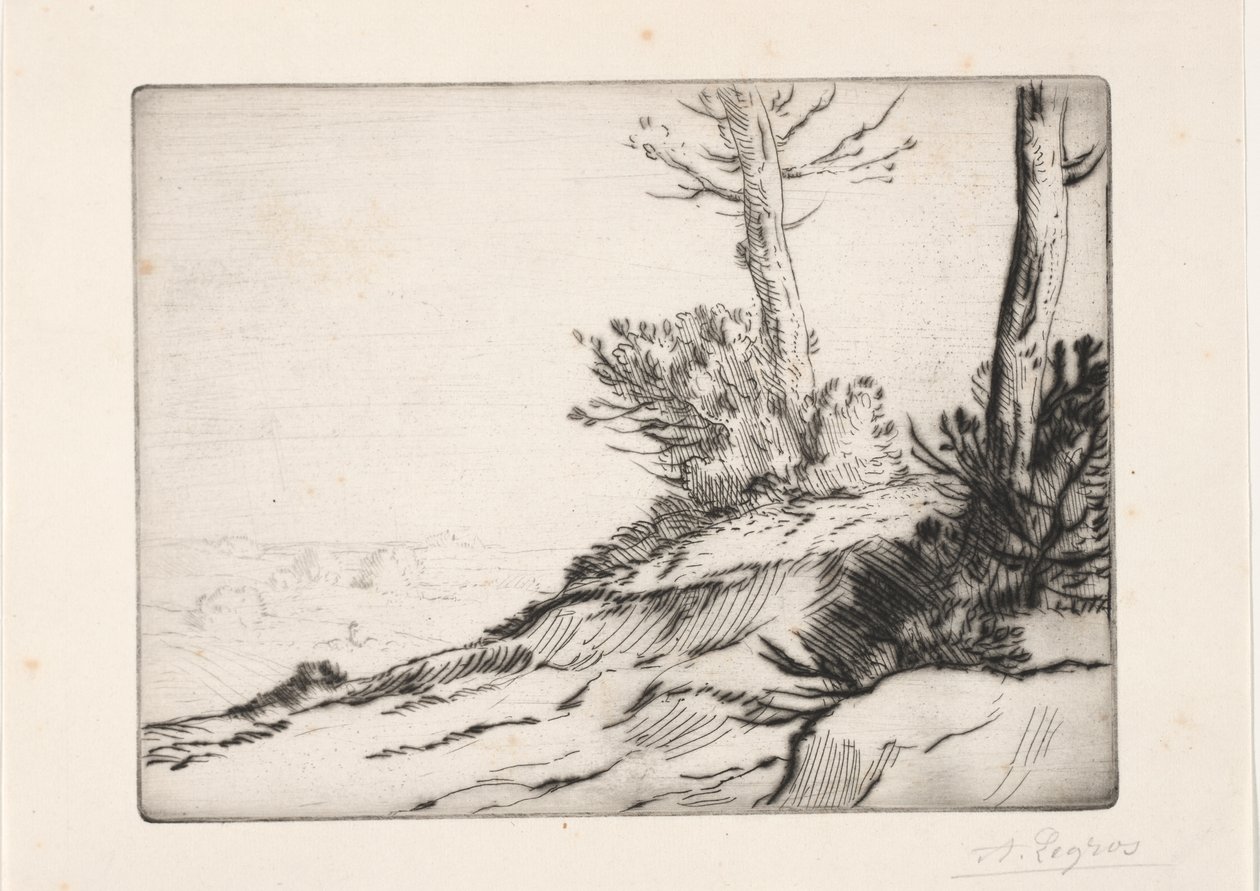 La collina con i cespugli da Alphonse Legros