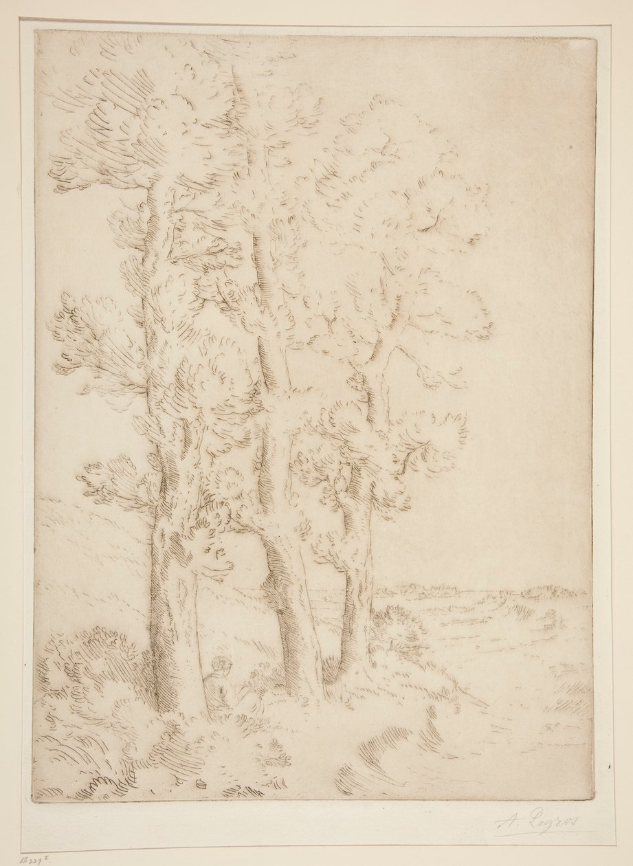 La lettrice: La lezione sotto gli alberi da Alphonse Legros