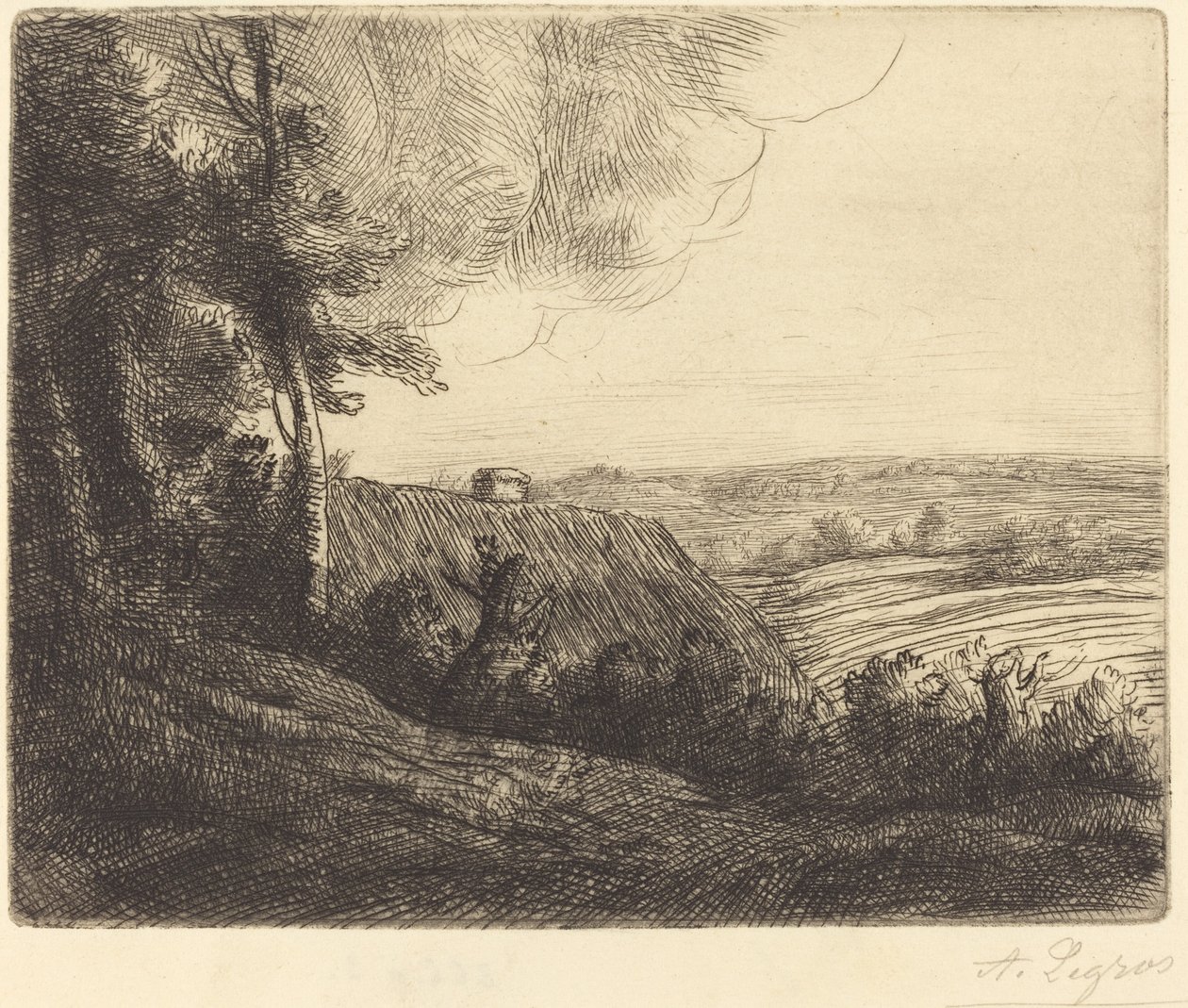 Paesaggio: Strada per Horville (Paysage: Chemin d