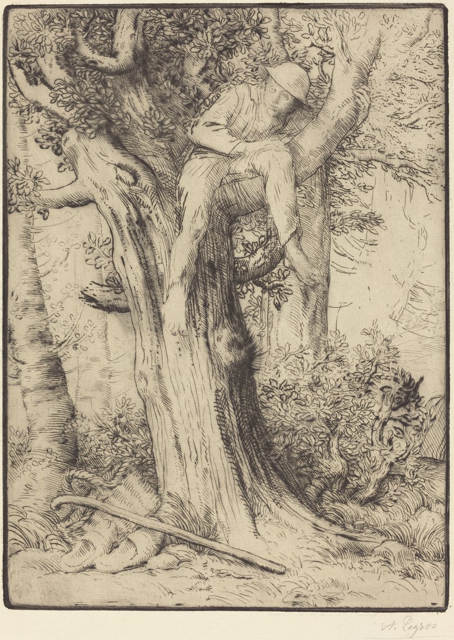 Paesaggio con un ragazzo su un albero, detto Le denicheur d