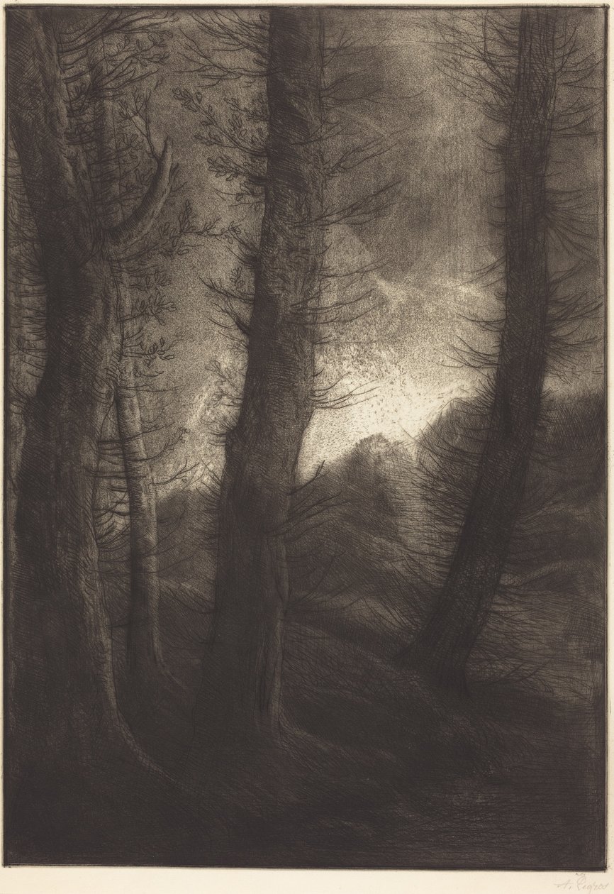 Alberi imponenti in controluce  (Gli alberi imponenti: effetto serale) da Alphonse Legros
