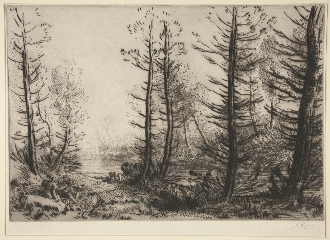 Il grande canale da Alphonse Legros