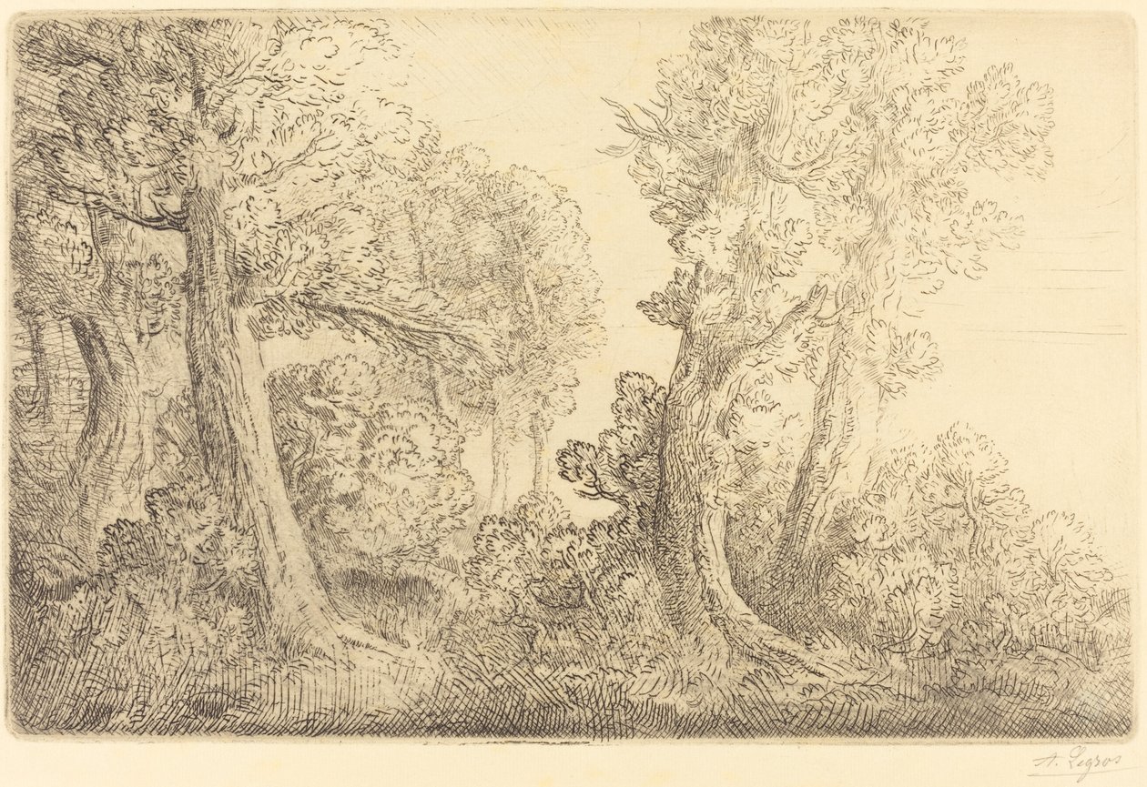 Vicino ai boschi, Veronne da Alphonse Legros