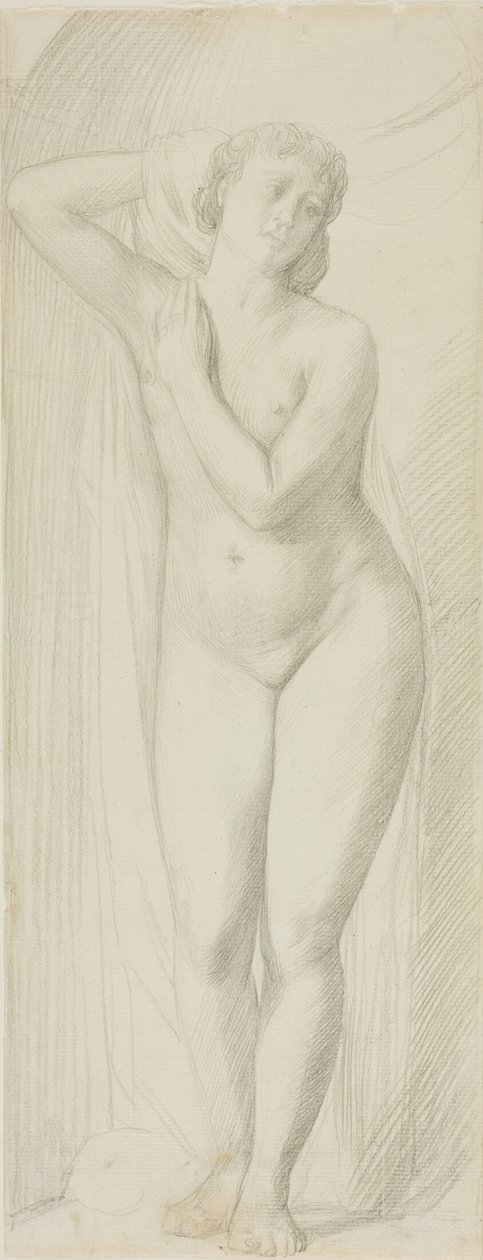 Nudo femminile in piedi da Alphonse Legros