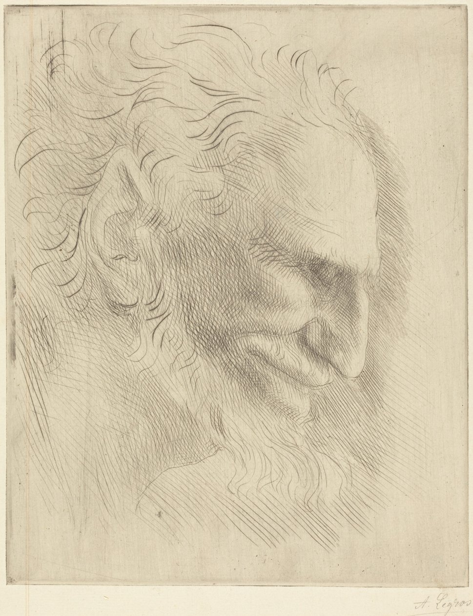 Studio per la testa di un uomo da Alphonse Legros