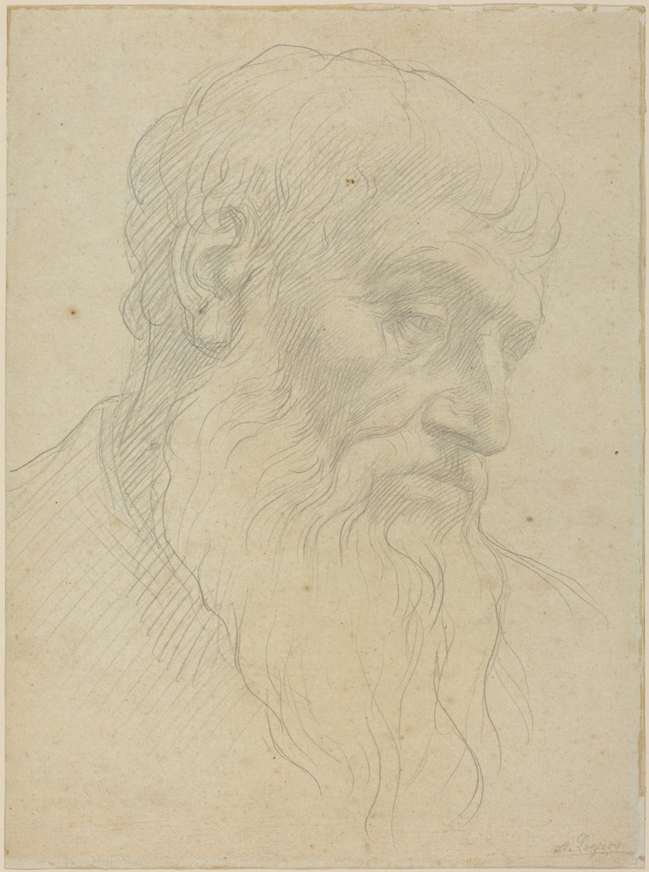 Studio di una testa da Alphonse Legros