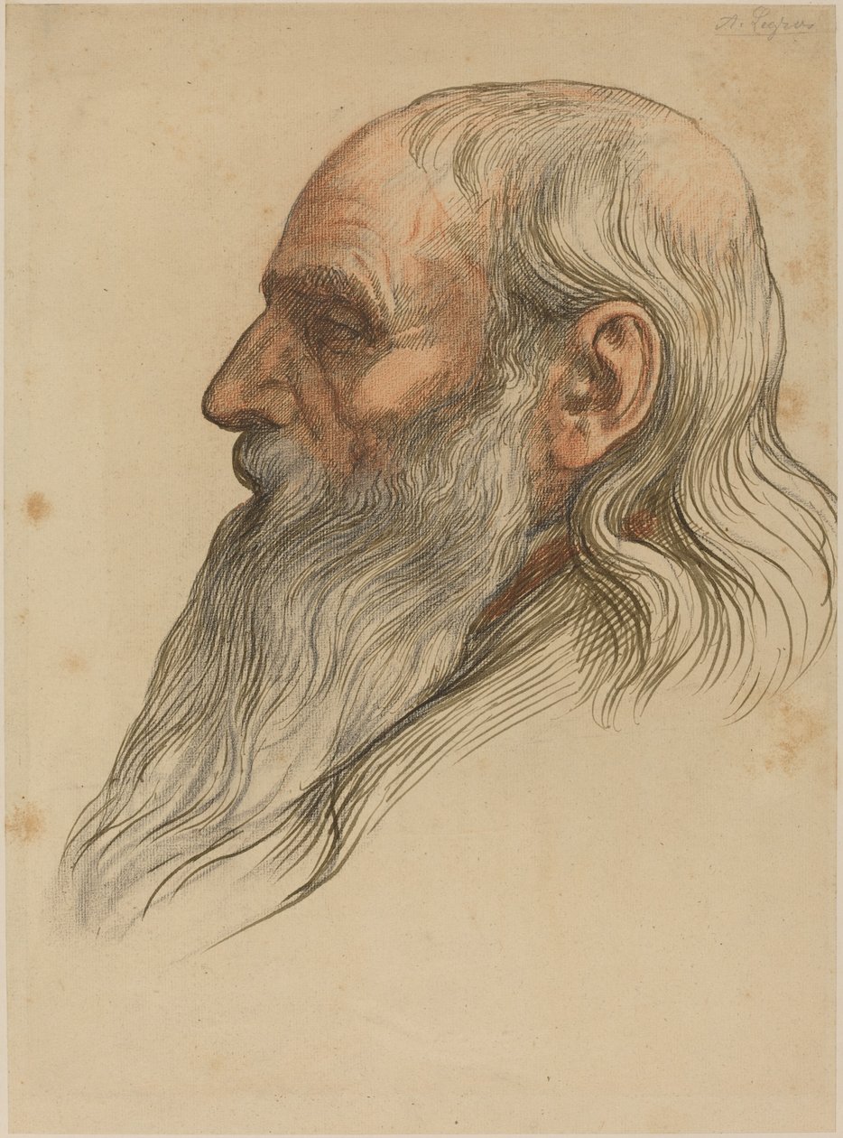 Studio della Testa di un Uomo con Barba Folta da Alphonse Legros