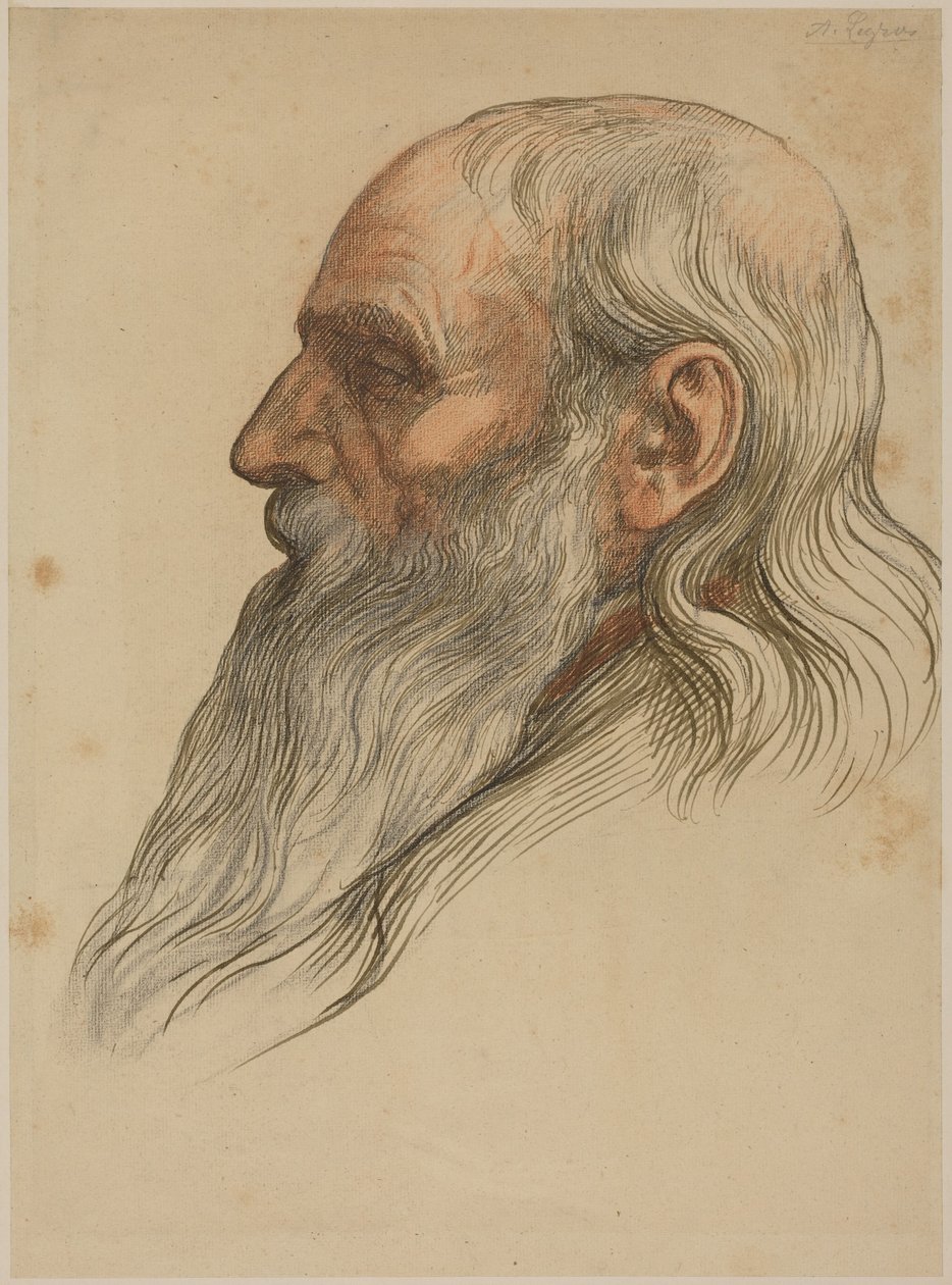 Studio della testa di un uomo con la barba folta da Alphonse Legros