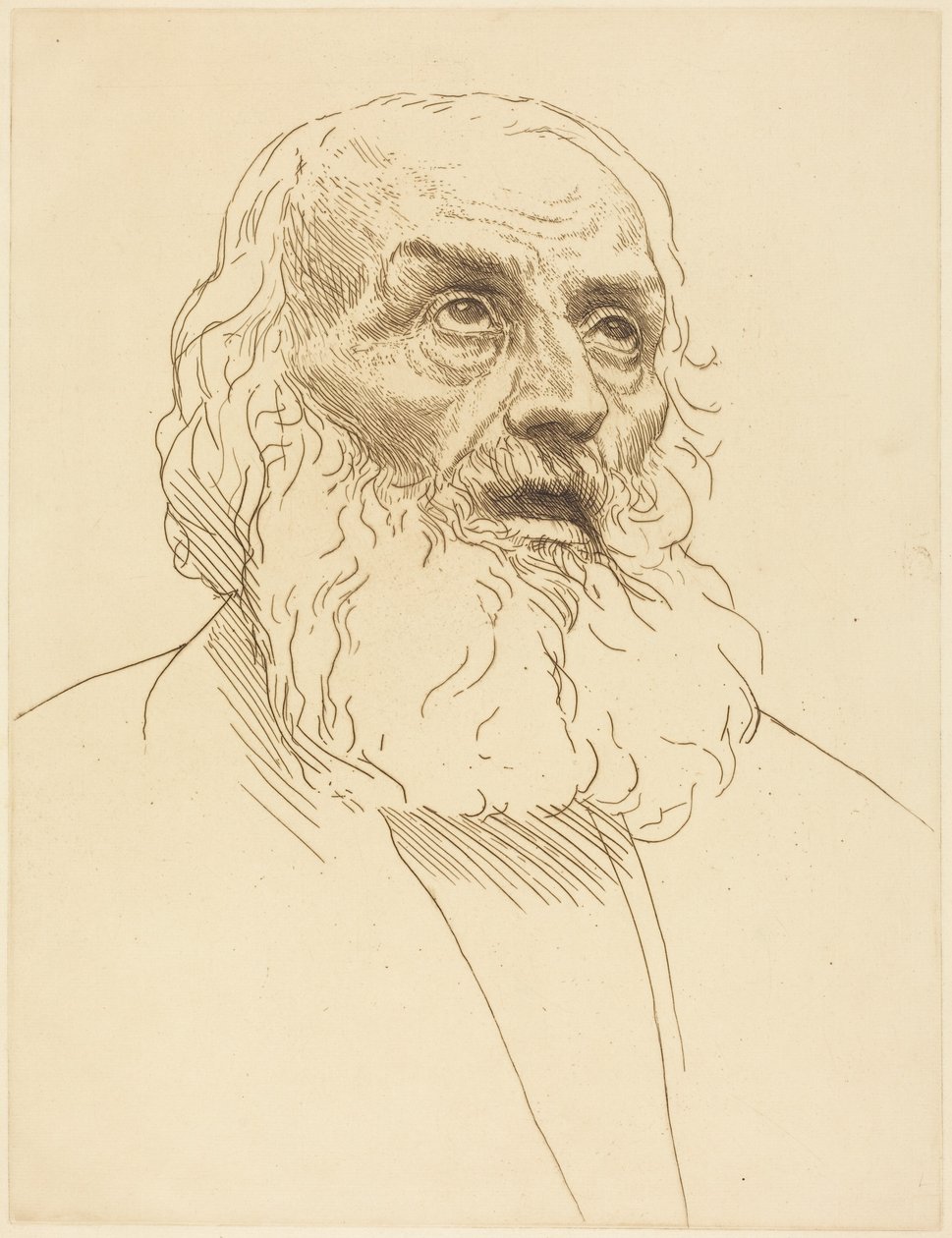 Study of an Old Man (Studio di un anziano) da Alphonse Legros