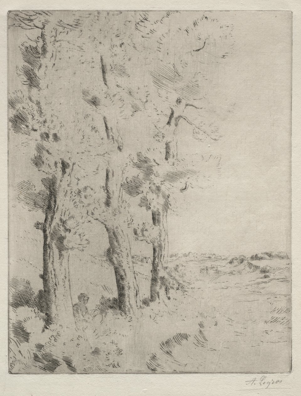 Il Lettore: La Lezione sotto gli Alberi da Alphonse Legros