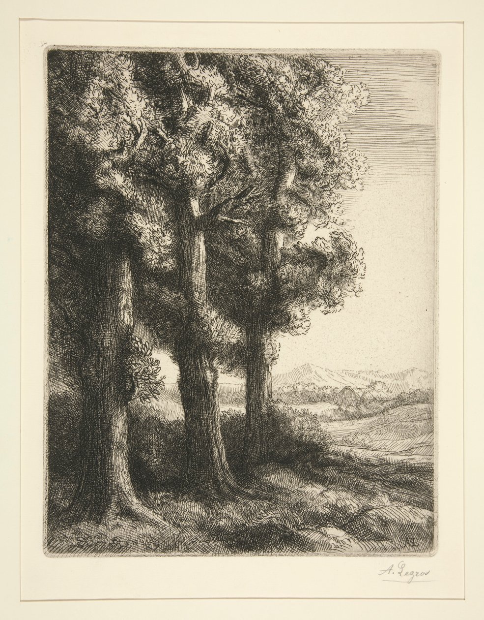 I tre alberi da Alphonse Legros