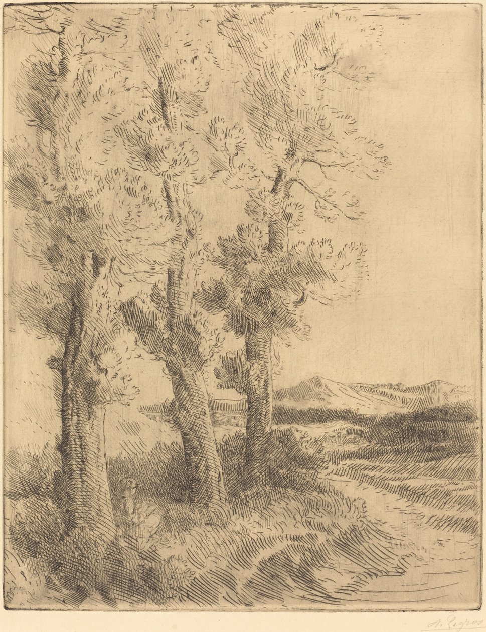 Donna che legge: Lezione sotto gli alberi da Alphonse Legros