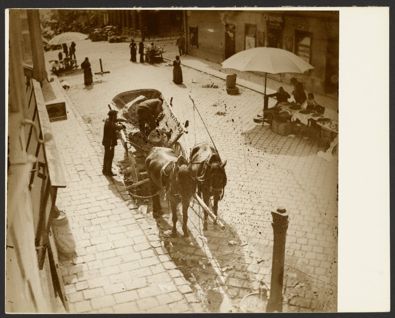 [Vista dalla finestra dell