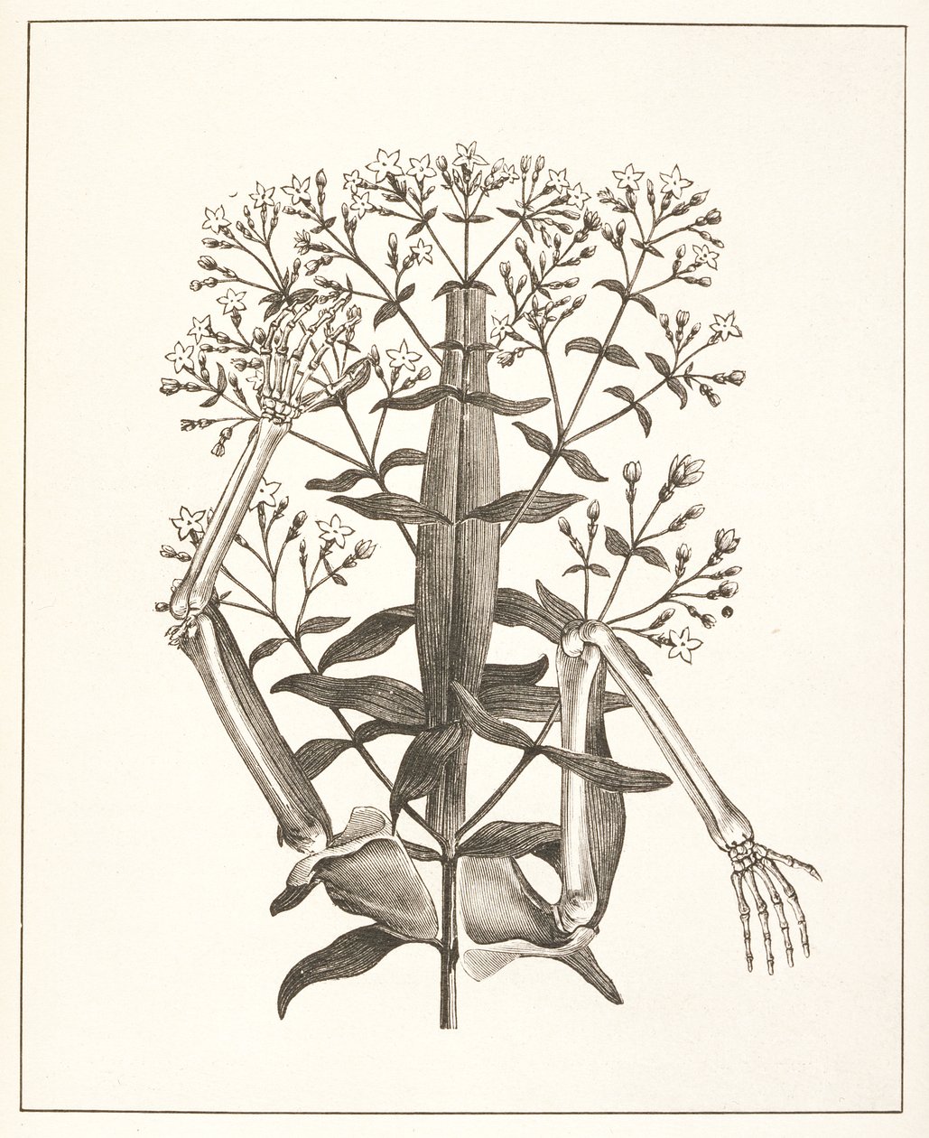 Illustrazione da 