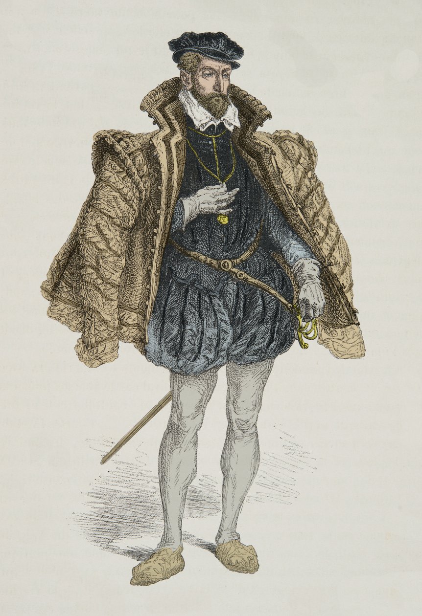 Ritratto di Gaspard de Coligny (Incisione) da Alphonse Marie de Neuville