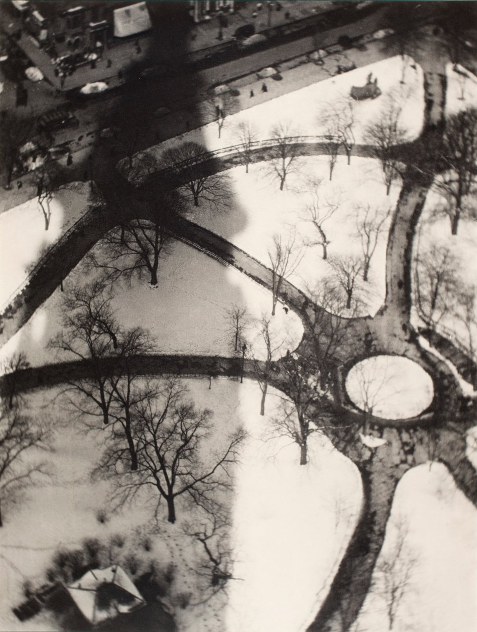 Il polpo, New York da Alvin Langdon Coburn
