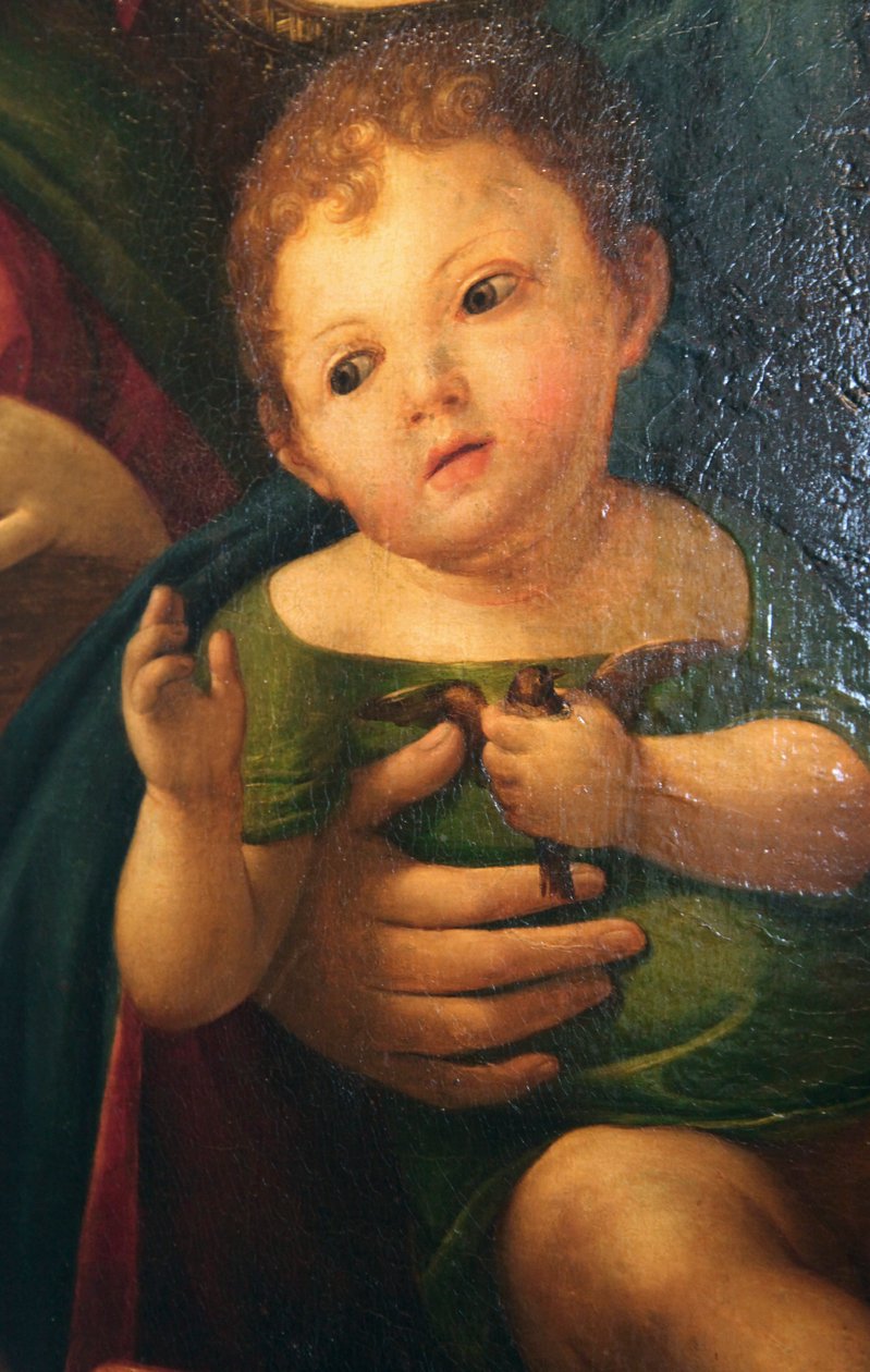 (dettaglio) da 