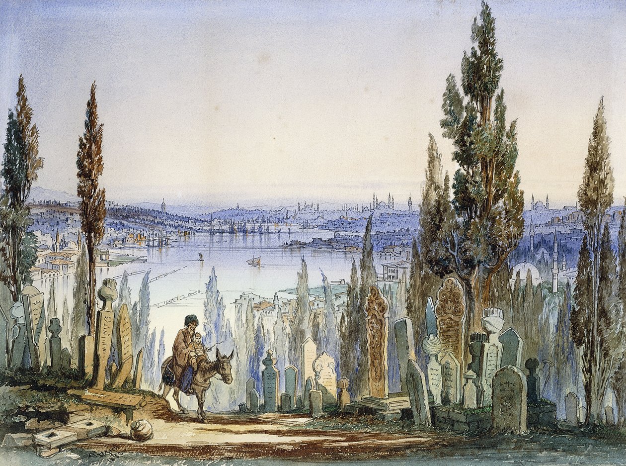 Costantinopoli da Eyub da Amadeo Preziosi