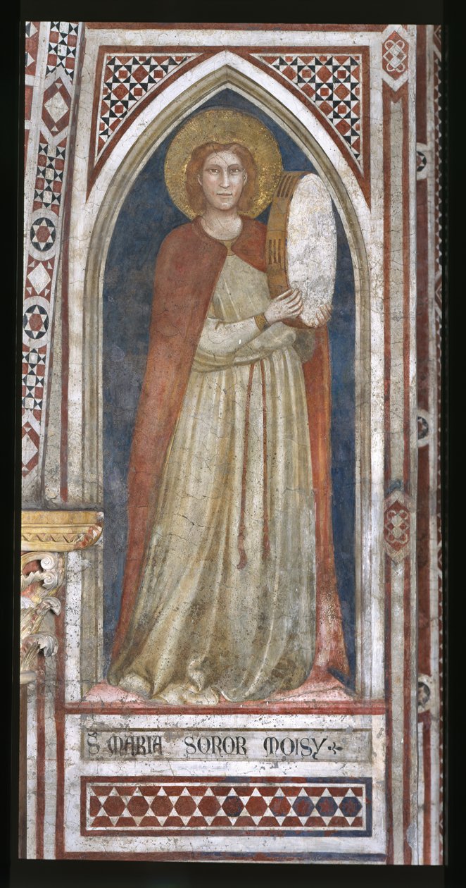 Cappella della Maddalena, parete nord: 