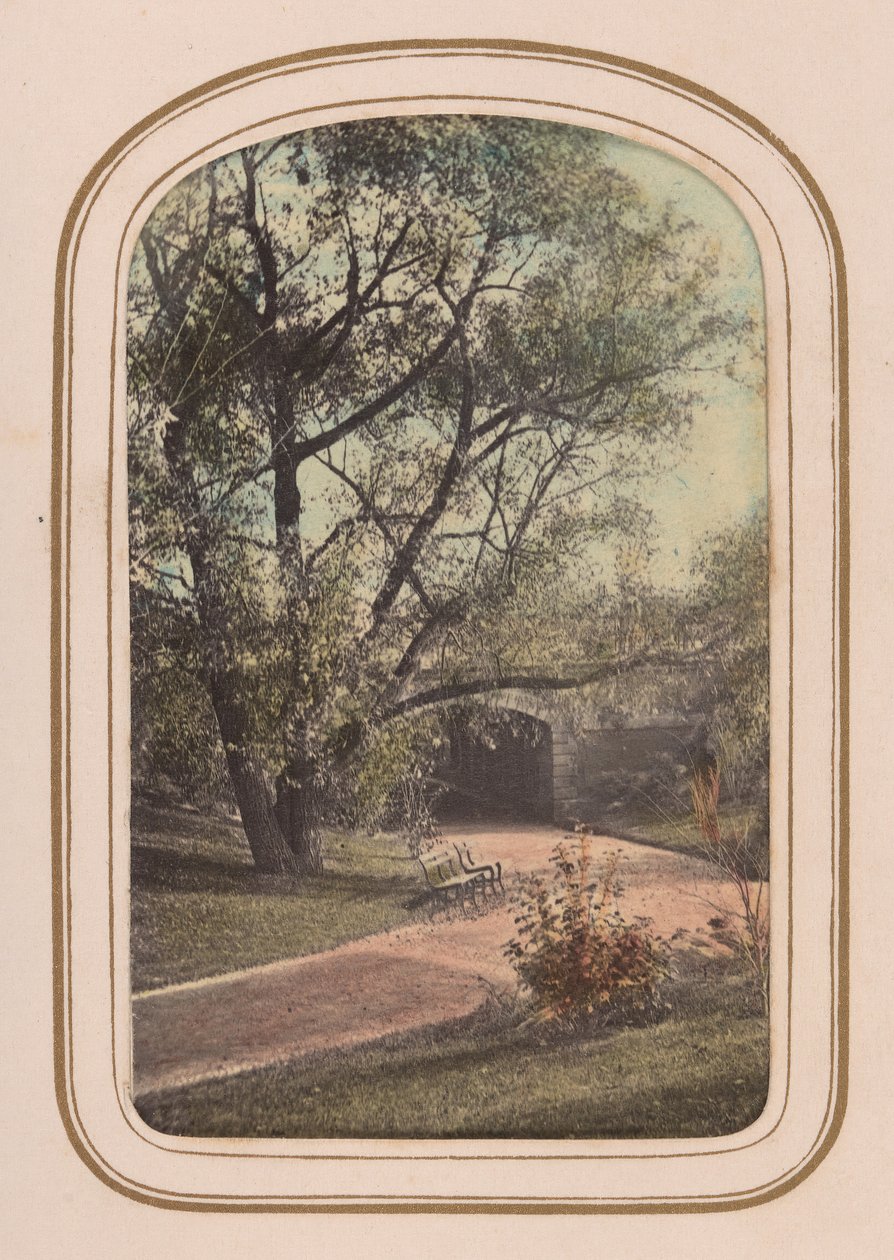 Album di carte-de-visite di vedute di Central Park, 1860 da Ambrose Jackson