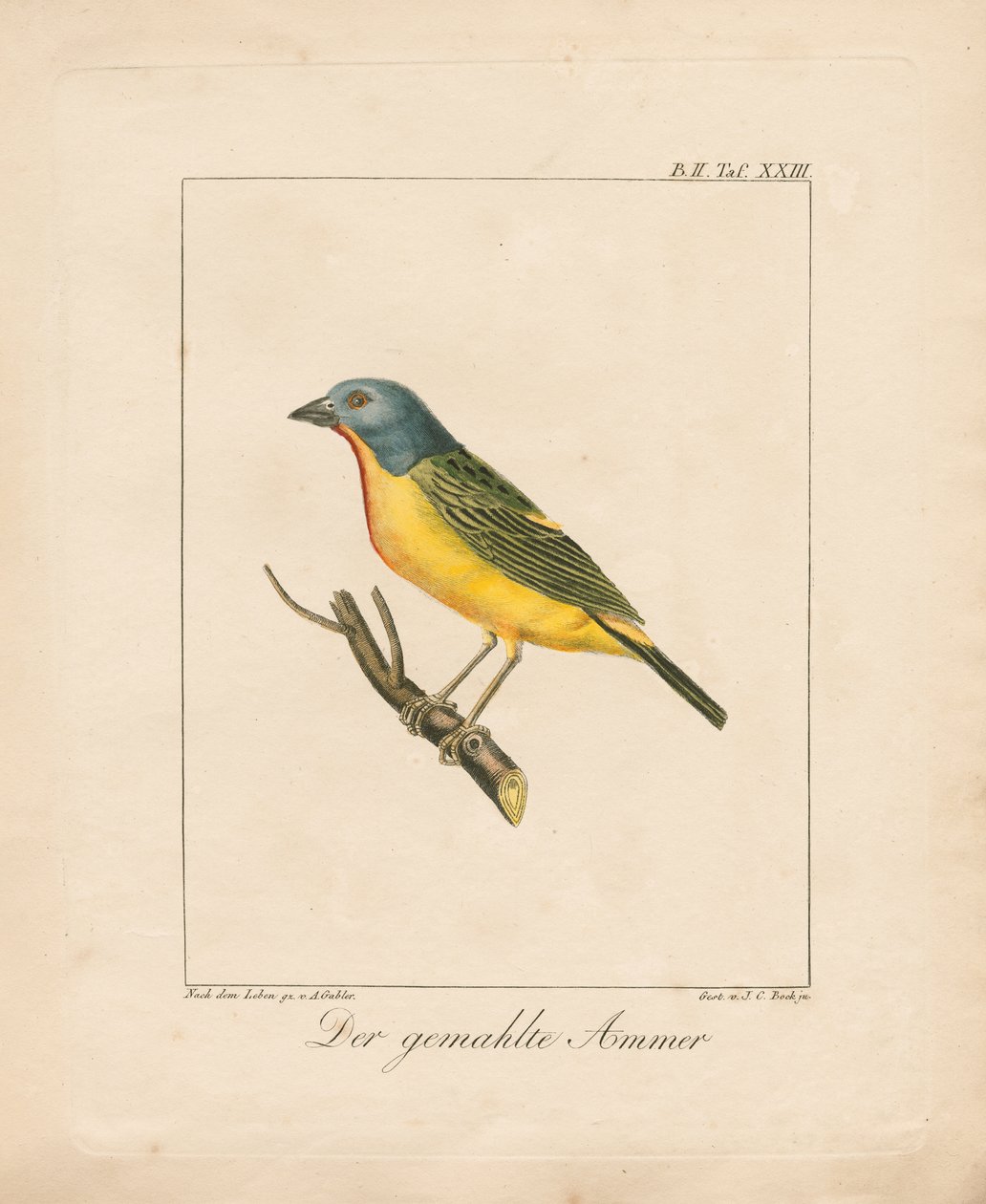 da Ambrosius Gabler