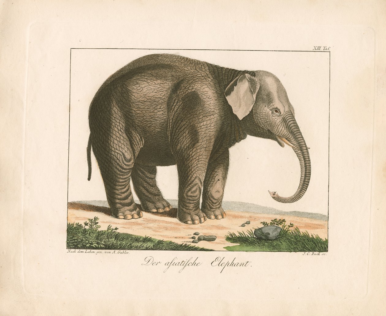 da Ambrosius Gabler