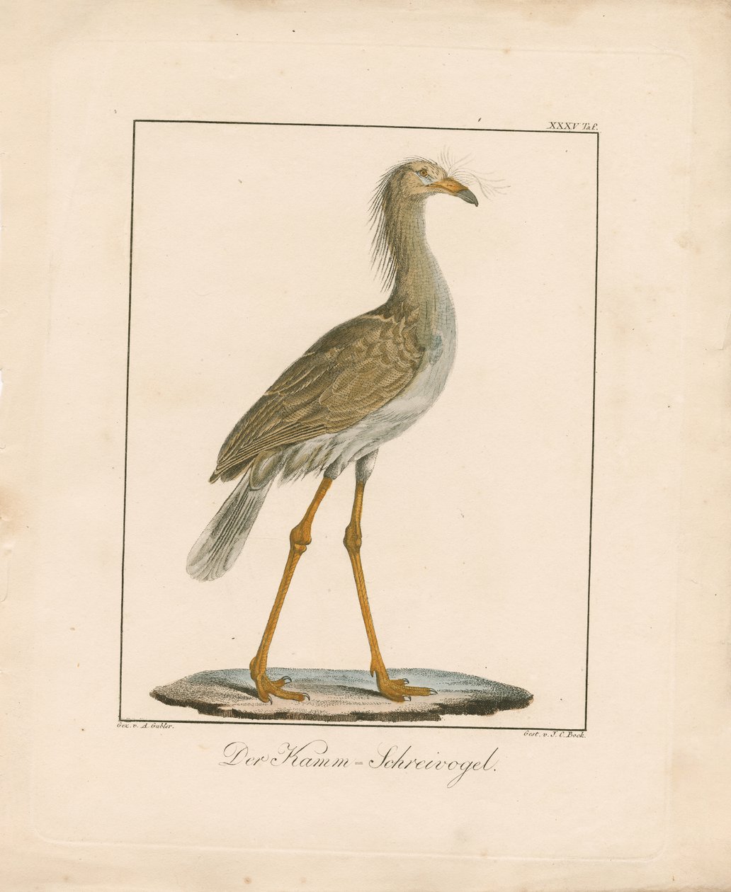  da Ambrosius Gabler