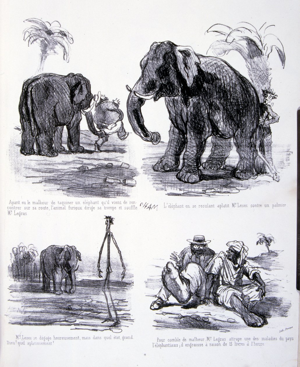 Illustrazione per L