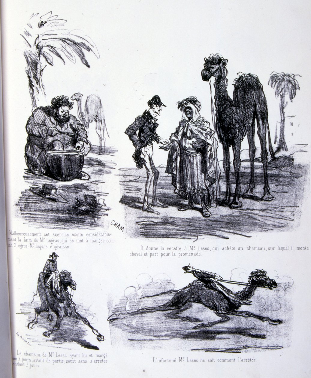 Illustrazione per L