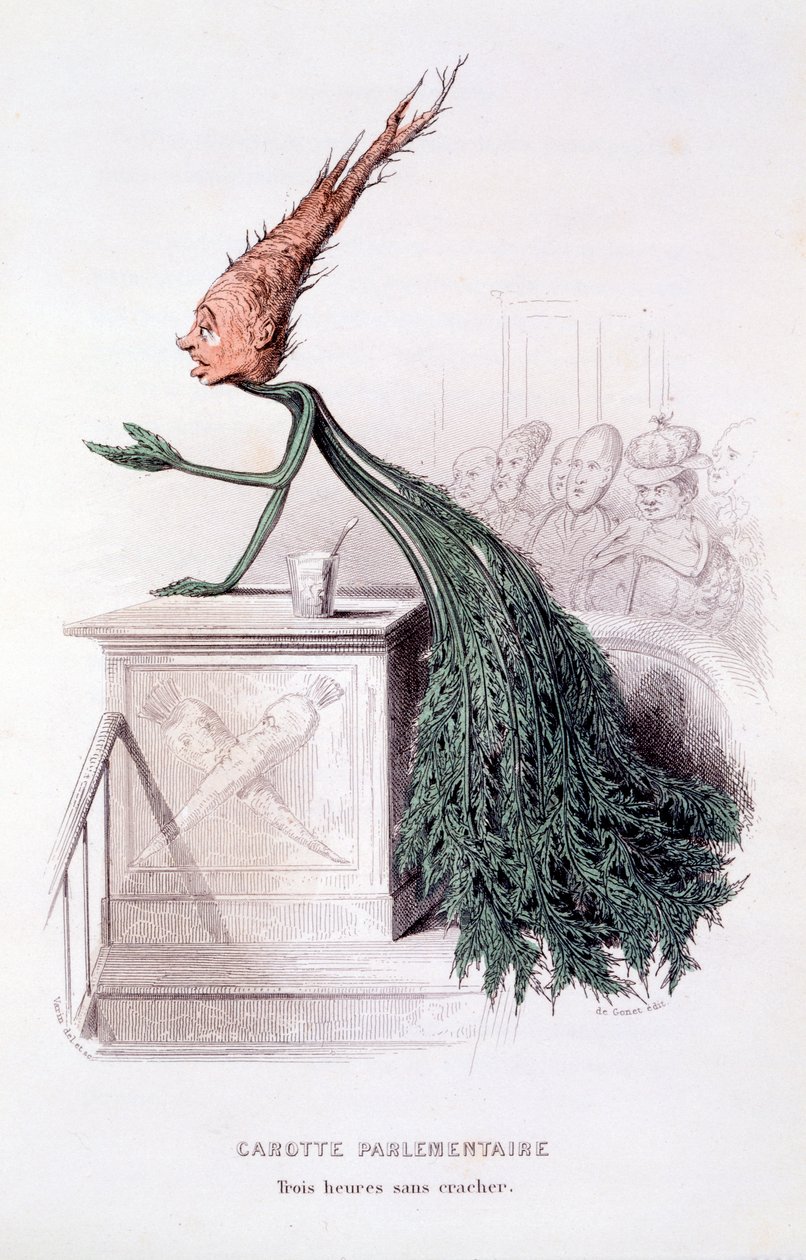 Carota parlamentare, illustrazione da 