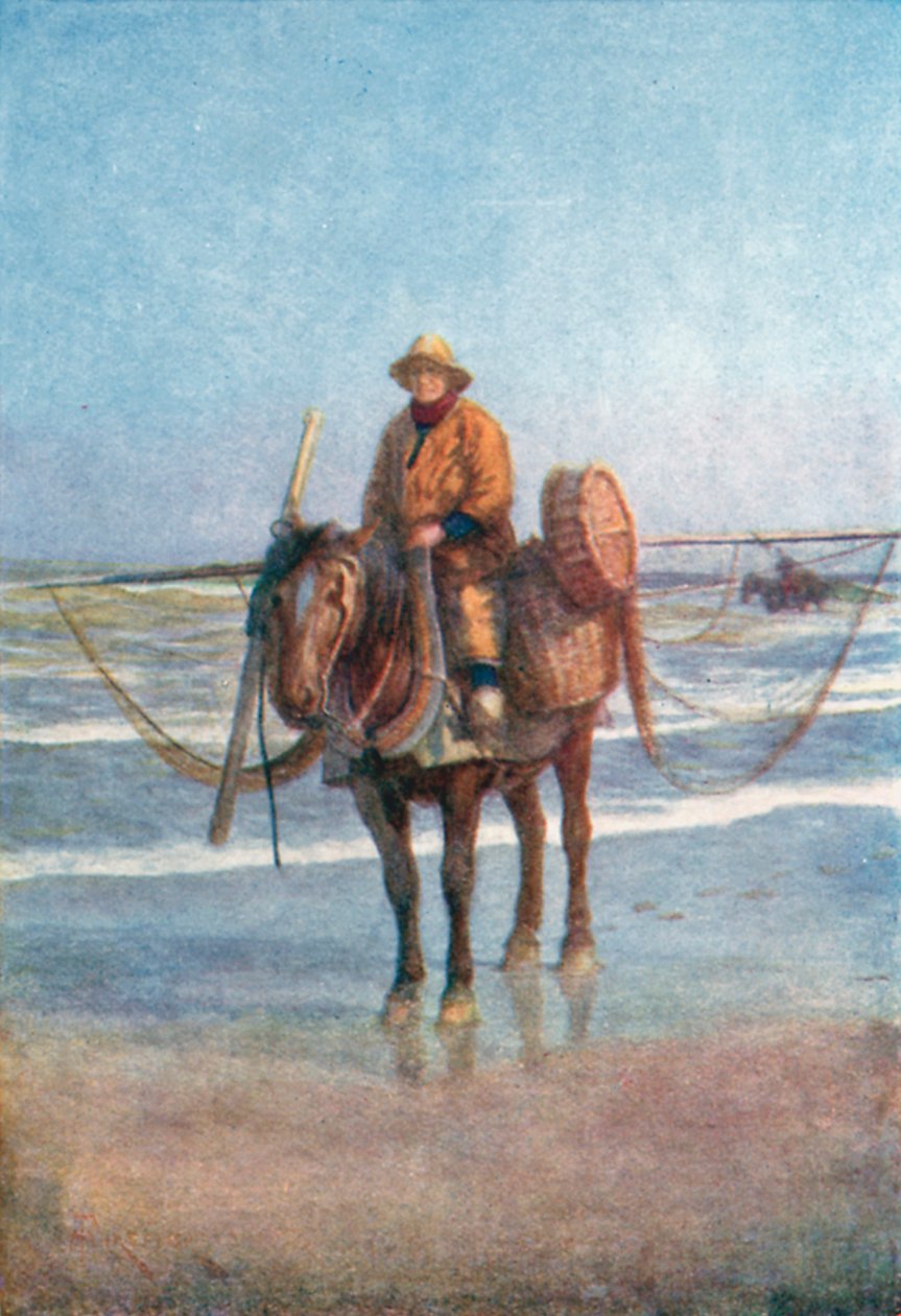 Un pescatore a cavallo, Coxyde (litografia a colori) da Amedee (after) Forestier