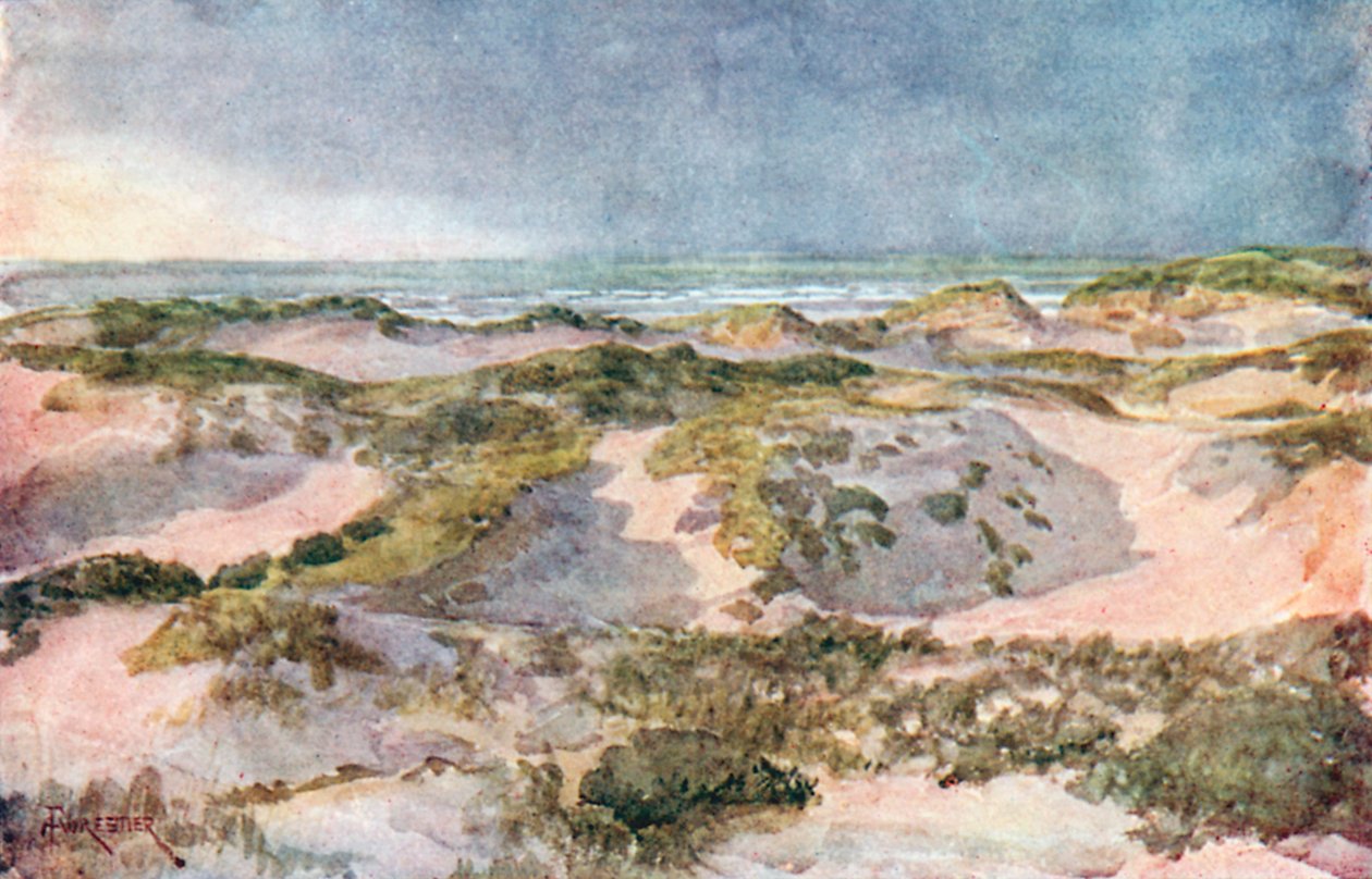Una sera di tempesta: Le dune (litografia a colori) da Amedee (after) Forestier