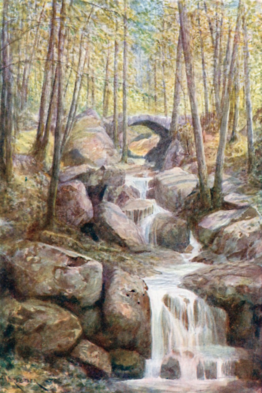 Pont du Prophete, Promenade Meyerbeer, Bosco delle Terme (litografia a colori) da Amedee (after) Forestier