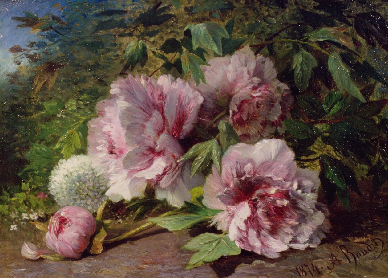 Studio di peonie, 1874 da Amedee Baudit