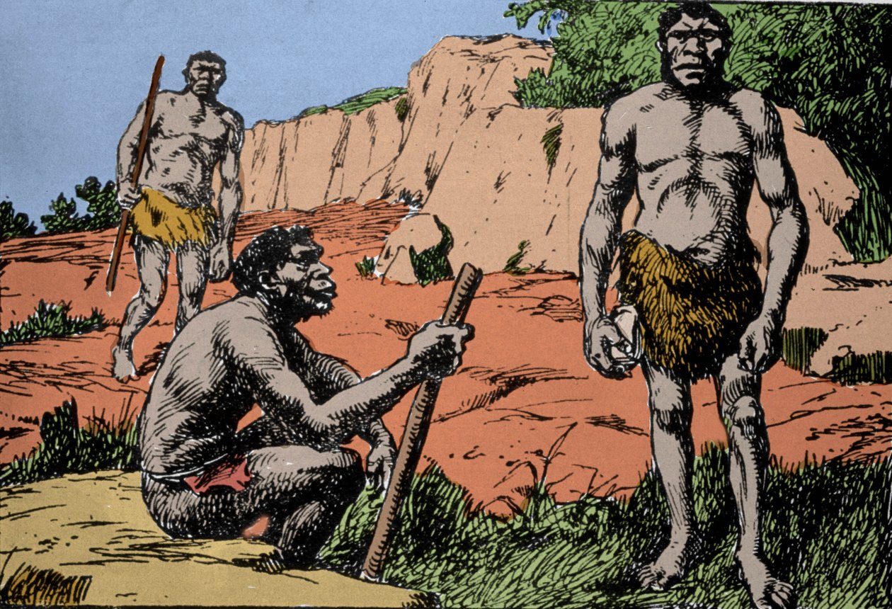 Preistoria: rappresentazione di Homo rhodesiensis o uomo di Broken hill, antenato di Homo sapiens, i cui fossili sono stati scoperti in Rhodesia (attuale Zambia in Africa). Disegno di A. Forestier. DR da Amedee Forestier