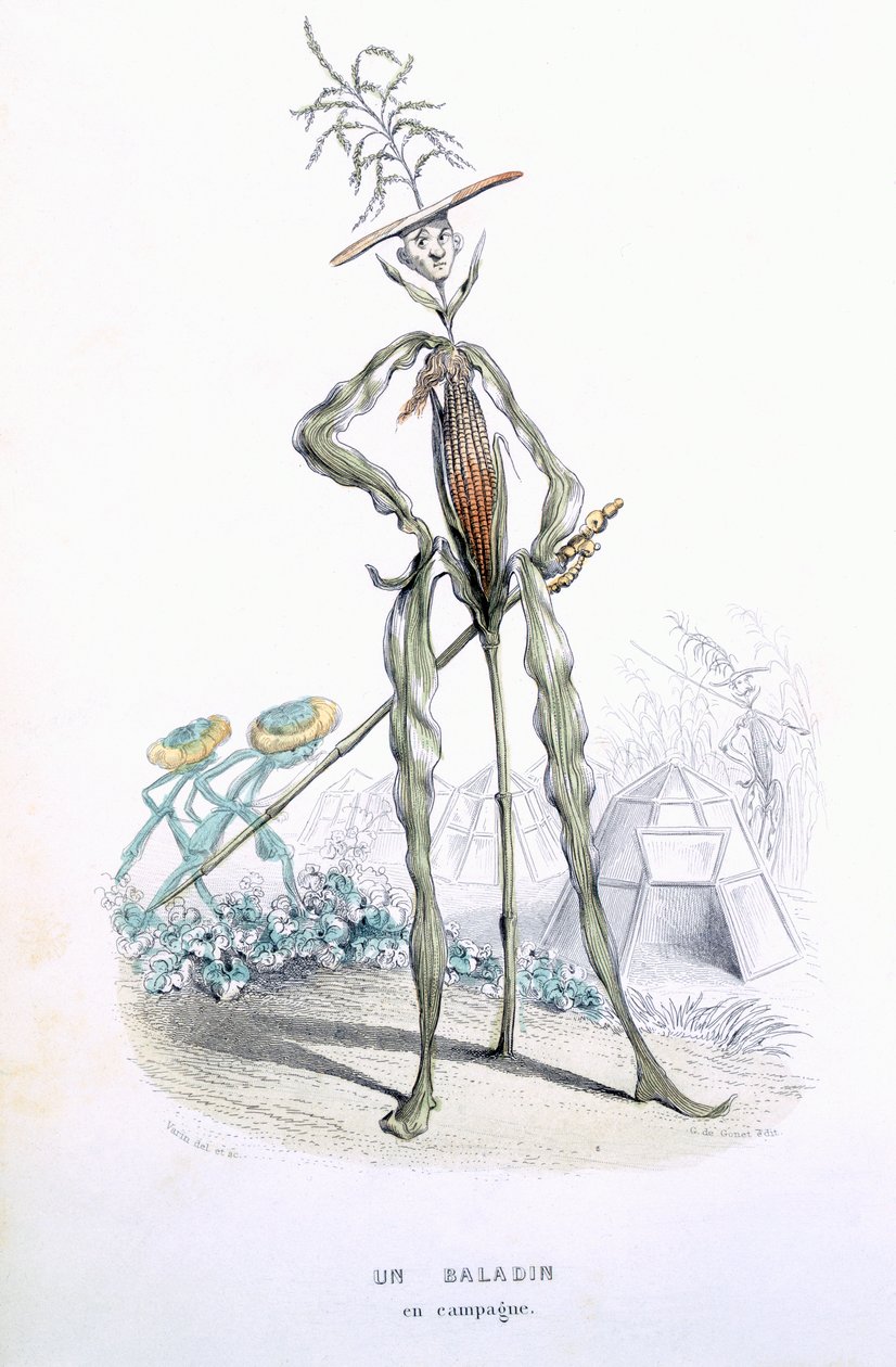 Un passeggiatore di campagna, da 