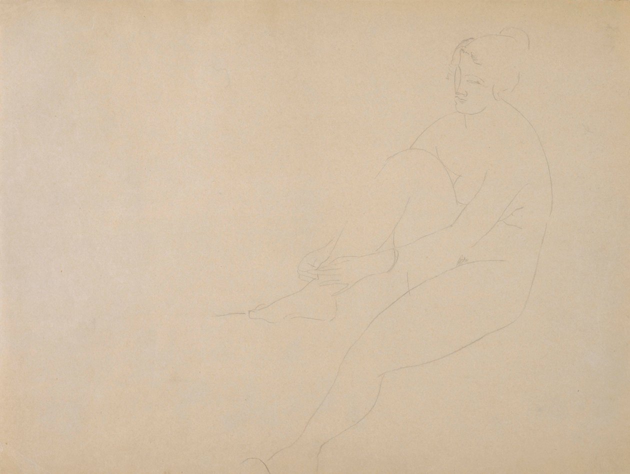 Nudo da Amedeo Modigliani